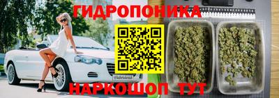 ПСИЛОЦИБИНОВЫЕ ГРИБЫ Можга