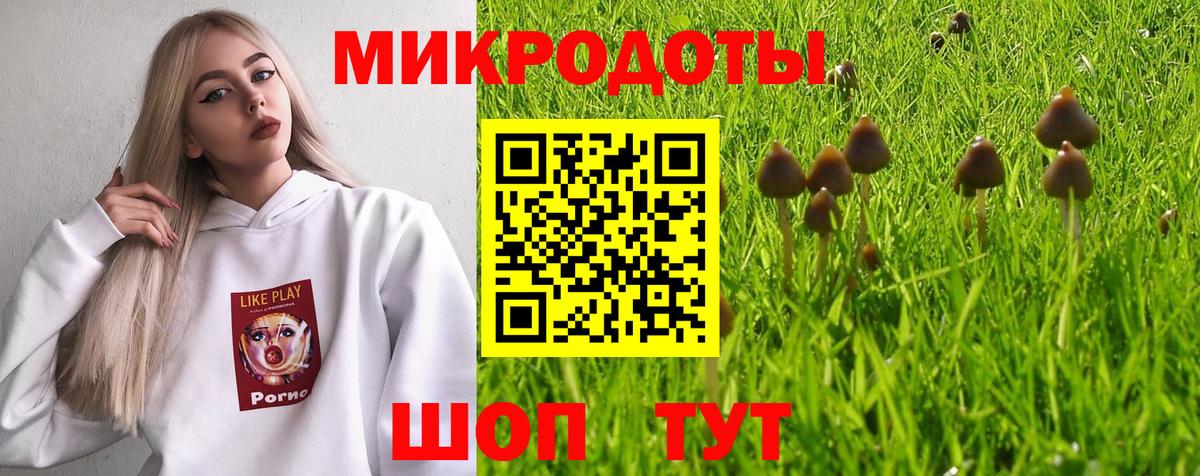 Псилоцибиновые грибы Psilocybe Ханты-Мансийск