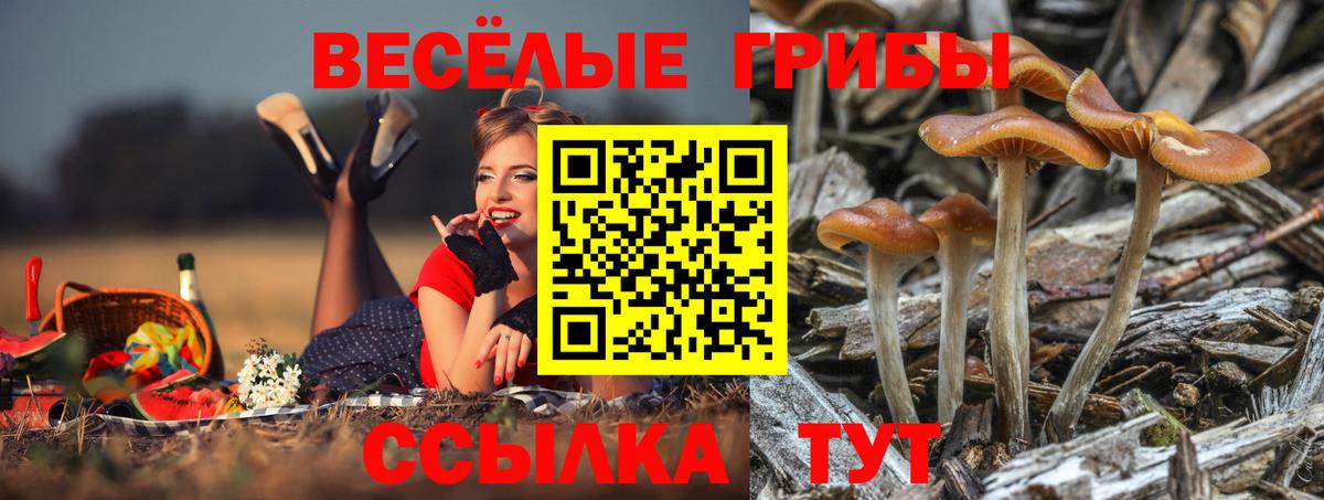 Псилоцибиновые грибы мухоморы  Вход с VPN  Галлюциногенные грибы мухоморы  Ханты-Мансийск 